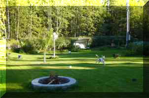 Sommarbild av vr trdgrd med Pelle springande i full fart.